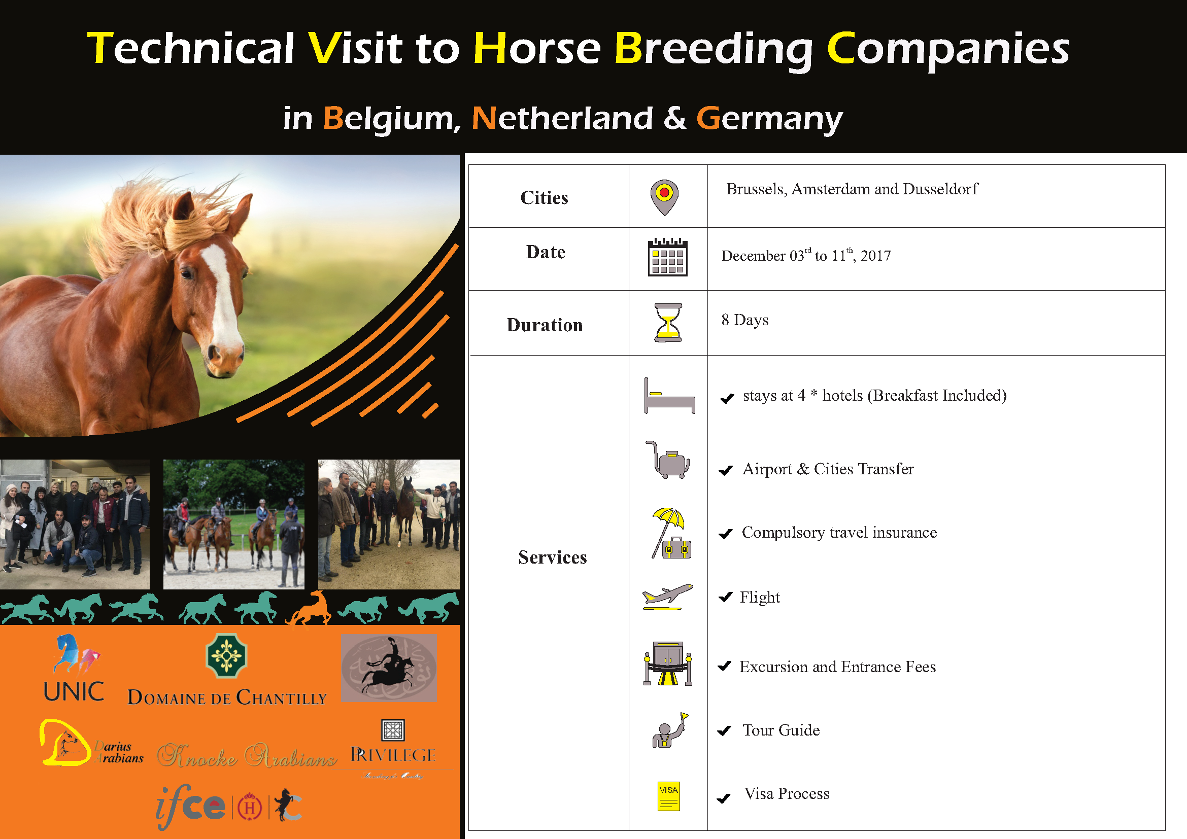 Technical Visit to Horse Breeding Companies, Dec. 2017